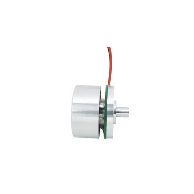 Jkongmotor Großhandel 20 mm Flachrotor BLDC Motor 12V 5V Schub Pancake Outrunner Bürstenloser Motor für Analyzer